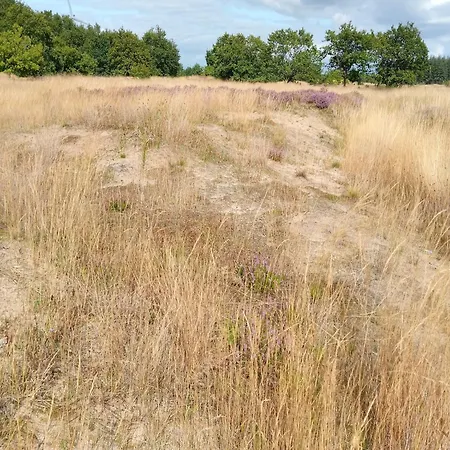Spacious In Neukirchen, Cleaning Included